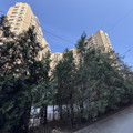 Квартира на продажу в Ростове-на-Дону, Комарова б-р, 1м фото №14