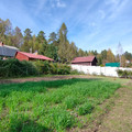 Дача на продажу в Рассвете, Рассвет тер.СОСН, 75 фото №5