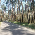 Дача в аренду в Раменском, ДП Калинка тер фото №12