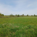 Участок на продажу в Котовице, Котовицы д фото №2