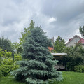 Дом на продажу в Ростове-на-Дону, Порядковый пер, 20/31 фото №2