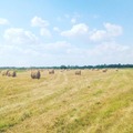 Коммерческая земля на продажу в Замараевском, Восточная ул, 25 фото №14