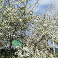 Участок на продажу в Нижнеподпольном, Нижнеподпольный х фото №0