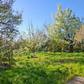 Дом на продажу в Красноярской, Красноярская ст-ца, 67 фото №2
