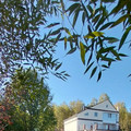 Дом на продажу в Кайгородово, Дачный пер, 1 фото №19
