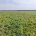 Участок на продажу в Корткеросе, Советская ул фото №1