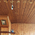 Участок на продажу в Краснодаре, Геологическая ул, 46 фото №6