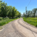Участок на продажу в Девице, Придорожная ул фото №8