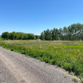 Участок на продажу в Девице, Придорожная ул фото №10