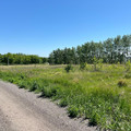 Участок на продажу в Девице, Придорожная ул фото №12