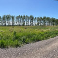 Участок на продажу в Девице, Придорожная ул фото №18