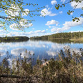 Участок на продажу в Костомукше, Сампо тер. СНТ фото №0