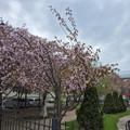 Квартира в аренду в Южно-Сахалинске, Южно-Сахалинская ул, 17А фото №22