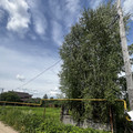 Участок на продажу в Убежице, Центральная ул фото №2