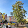 Квартира на продажу в Йошкар-Оле, Димитрова ул, 75 фото №17