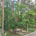 Квартира на продажу в Пензе, Кордон Студеный ул, 41 фото №12