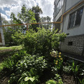 Квартира на продажу в Самаре, Карла Маркса пр-кт, 463 фото №9