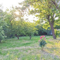 Участок на продажу в Краснодаре, Абрикосовая (КНИИСХ снт) ул, 282 фото №0