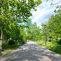 Таунхаус на продажу в Петрозаводске, Еремеева (Центр р-н) ул, 42 фото №17