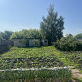 Дом на продажу в Кораблино, 2-я Полевая ул, 6 фото №9