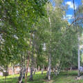 Участок на продажу в Иркутске, Рождественская (Лесной мкр.) ул фото №3