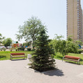 Квартира на продажу в Ростове-на-Дону, Магнитогорская ул, 1г фото №19