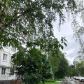 Квартира на продажу в Великом Новгороде, Попова ул, 14/32 фото №1