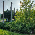 Дом на продажу в Кирбе, Юности ул фото №5