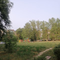 Квартира на продажу в Алексине, Здоровья ул, 6 фото №20