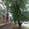 Квартира на продажу в Майкопе, Курганная ул, 221 фото №19
