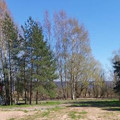 Участок на продажу в Ондвору, Ондвор д фото №0