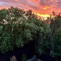 Дом на продажу в Сестрорецке, Большая Горская ул, 43 1 фото №7