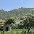 Дом на продажу в Ленинкенте, Гагарина ул, 94 фото №0