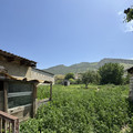 Дом на продажу в Ленинкенте, Гагарина ул, 94 фото №8
