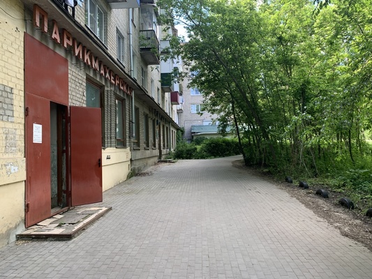 Фото: Помещение в Берёзовой роще test