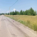 Участок на продажу в Медовке, Приозерная ул, 24 фото №1