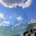 Дом на продажу в Куяре, Юбилейная ул, 37 фото №6