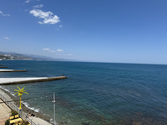 Фото: Коммерция на берегу моря! test