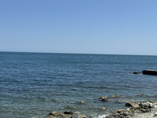 Фото: Коммерция на берегу моря! test