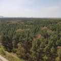 Квартира на продажу в Котельниках, Сосновая ул, 1к1 фото №5