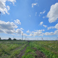 Участок на продажу в Краснодаре, Пригородная (Знаменский тер. ДНТ) ул фото №1