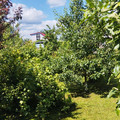 Дом на продажу в Песчаном, Центральная ул, 19 фото №10
