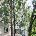 Комната на продажу в Москве, Конёнкова ул, 19В фото №15