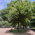 Квартира в аренду в Санкт-Петербурге, Смоленская ул, 1 фото №21