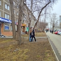 Торговая площадь в аренду в Екатеринбурге, Советская ул, 25 фото №1
