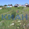 Участок на продажу в Солонце, Горизонт тер. ДНТ фото №4