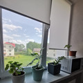 Квартира на продажу в Сыктывкаре, Панева ул, 1/2 фото №8