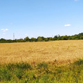 Коммерческая земля на продажу в Мишкинской, Мира ул фото №1