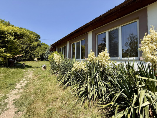 Фото: Гостевой коплекс! test