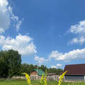 Участок на продажу в Барнауле, Пригородная ул фото №4